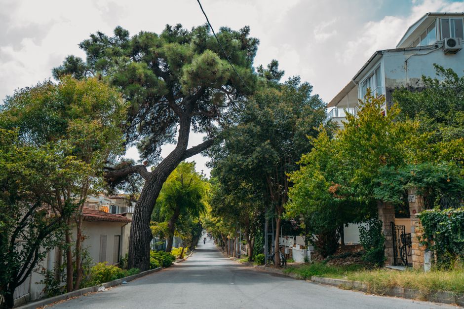 City of Surrey residential neighbourhood with mature trees — tree protection bylaws apply to significant and heritage trees