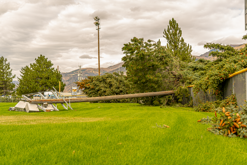 Storm-damaged trees near power lines in a residential area — Surrey requires permits for most tree removals