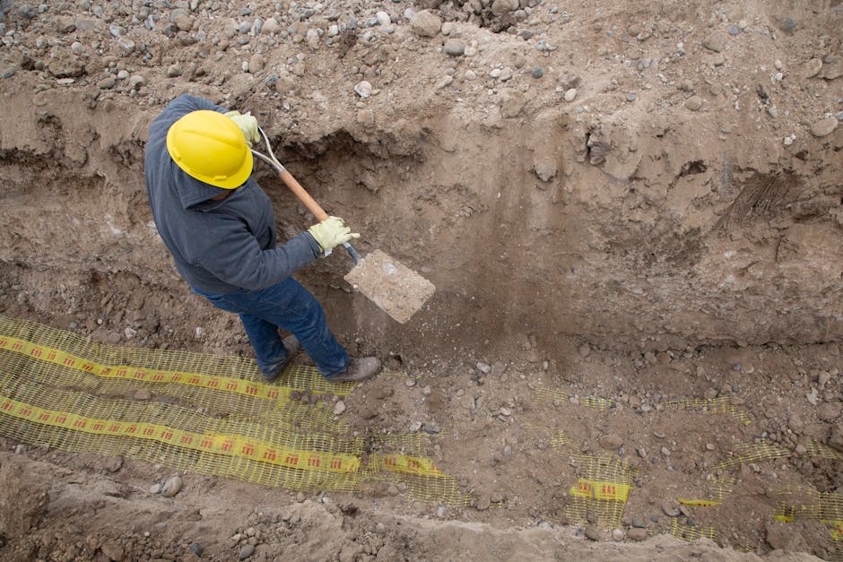 Worker digging a trench near tree roots with a spade — tree root pruning involves careful excavation and precise cuts