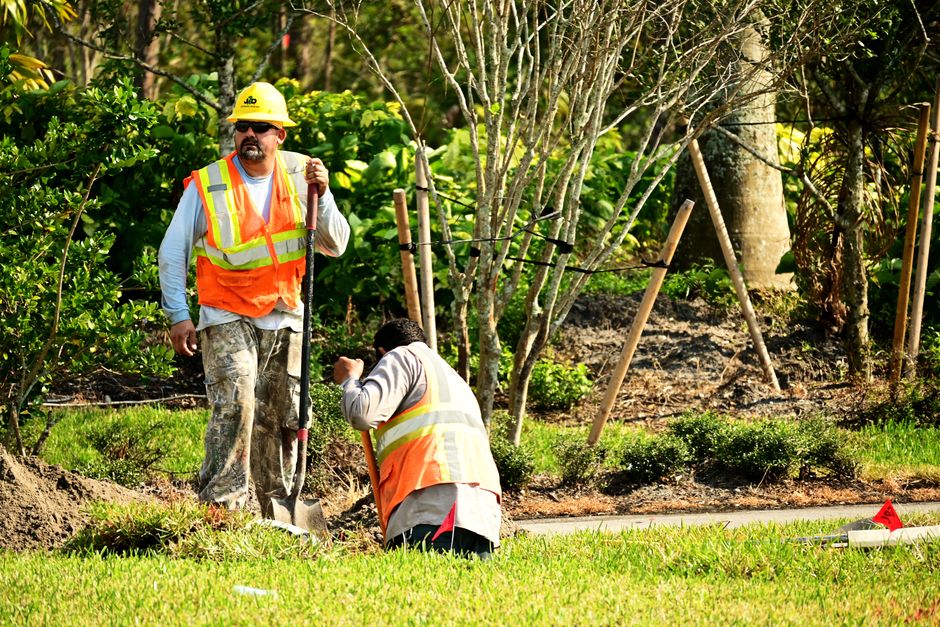 Professional landscaping crew working at ground level near trees — tree root pruning cost in Surrey BC includes assessment, excavation, and cleanup