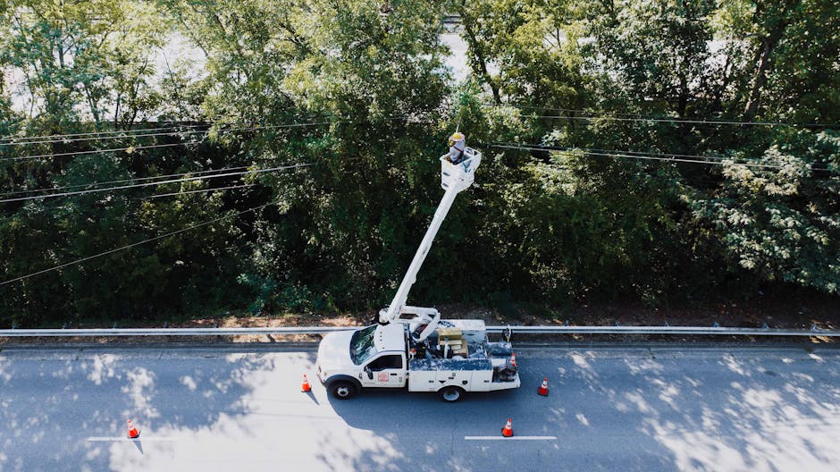 Tree care crew with aerial lift equipment preparing for maple tree trimming — cost varies by size and access