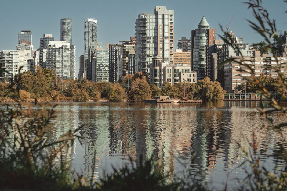 Little Tree Care crew performing professional tree service in Surrey, BC