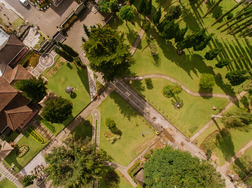 Aerial view of trees on a managed commercial property