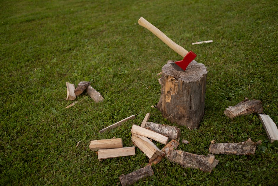 Tree stump in a yard ready for grinding