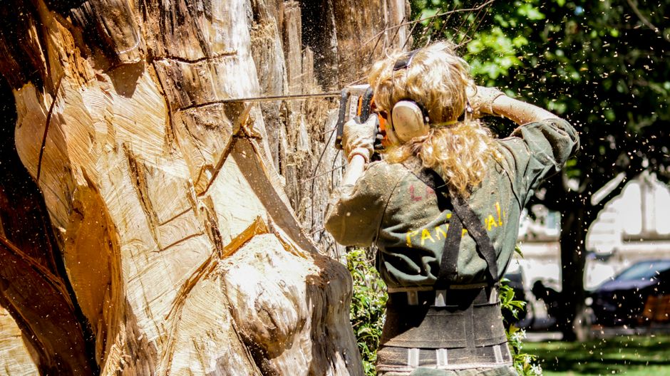 Arborist performing professional tree removal